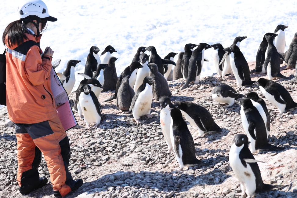 次南极考察队“雪龙”号凯旋九游会网址是多少中国第41(图2) 次南极考察队“雪龙”号凯旋九游会网址是多少中国第41(图2)